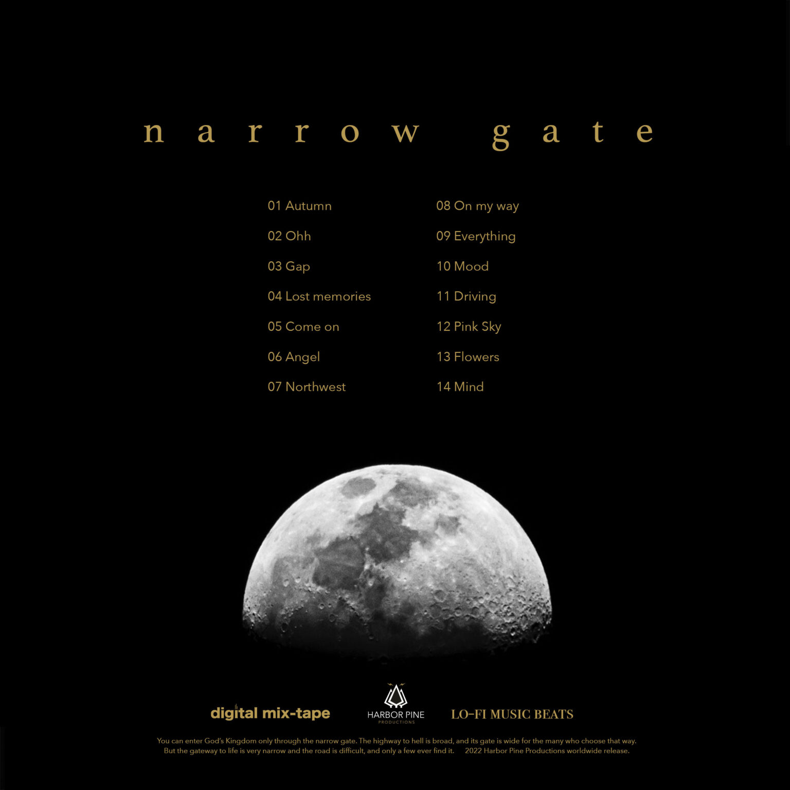 narrow gate vinyl back album