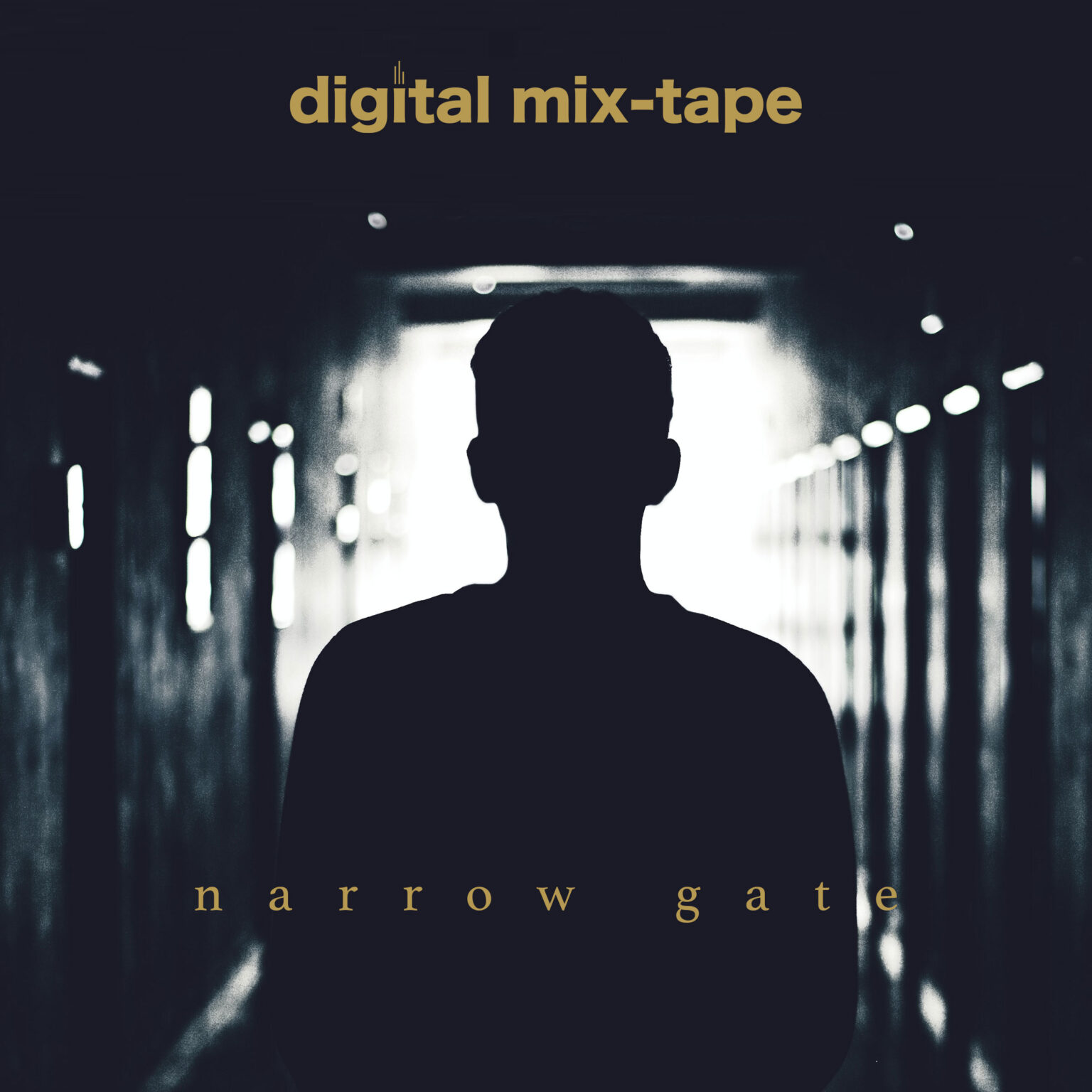 narrow gate full album vinyl cover