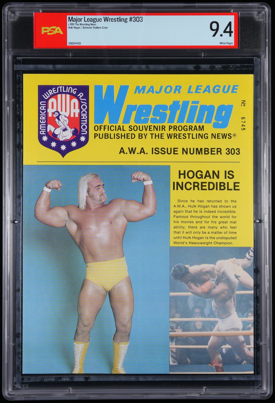 Hulk HoganAWA Wrestling Cover